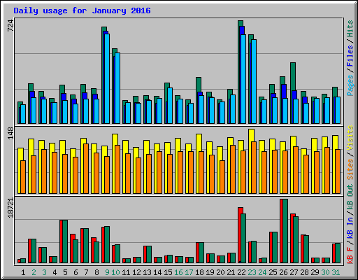 Daily usage for January 2016