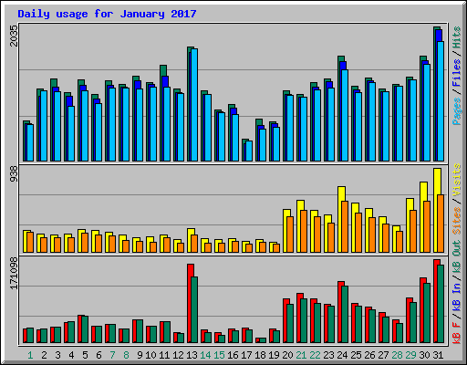 Daily usage for January 2017