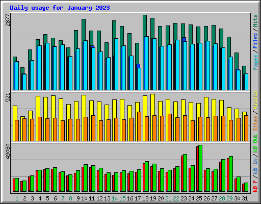 Daily usage for January 2023
