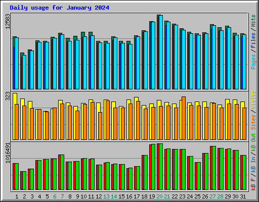 Daily usage for January 2024
