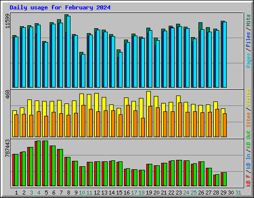 Daily usage for February 2024