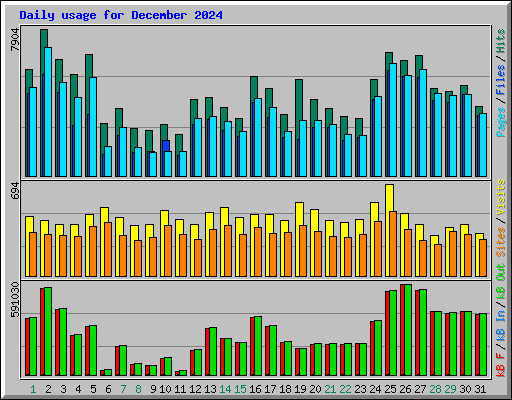 Daily usage for December 2024