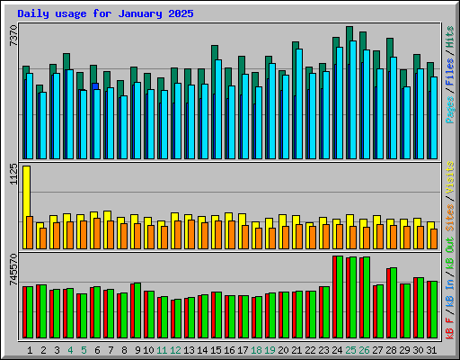 Daily usage for January 2025