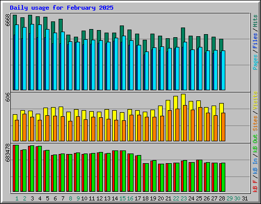 Daily usage for February 2025