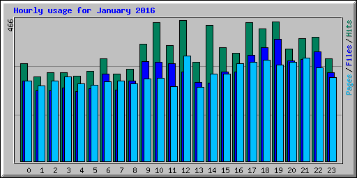 Hourly usage for January 2016