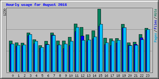 Hourly usage for August 2016