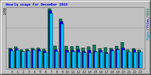 Hourly usage for December 2016