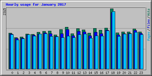 Hourly usage for January 2017