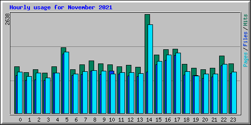 Hourly usage for November 2021