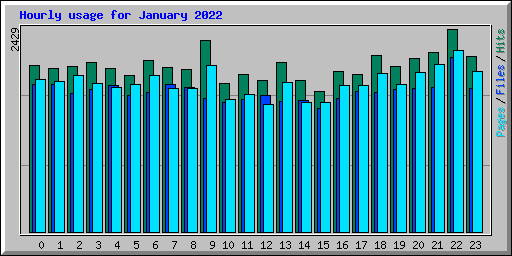 Hourly usage for January 2022