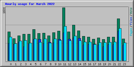 Hourly usage for March 2022