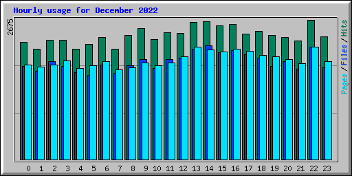 Hourly usage for December 2022