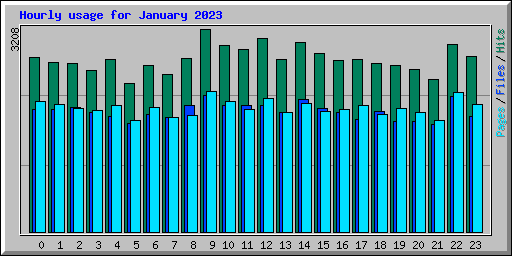 Hourly usage for January 2023