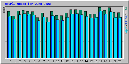 Hourly usage for June 2023