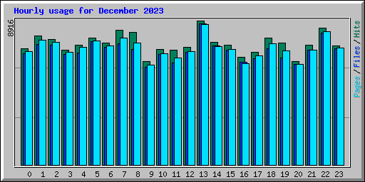 Hourly usage for December 2023
