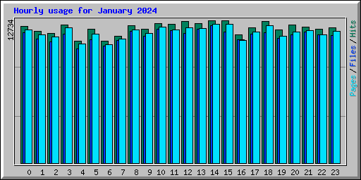 Hourly usage for January 2024