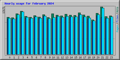 Hourly usage for February 2024