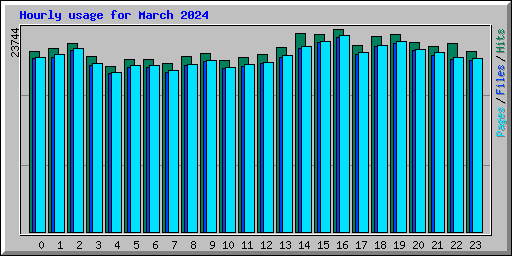Hourly usage for March 2024