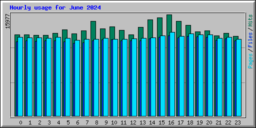 Hourly usage for June 2024