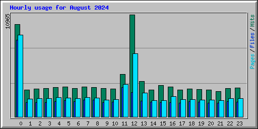 Hourly usage for August 2024