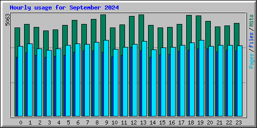 Hourly usage for September 2024