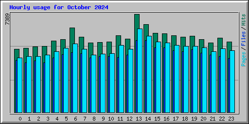 Hourly usage for October 2024