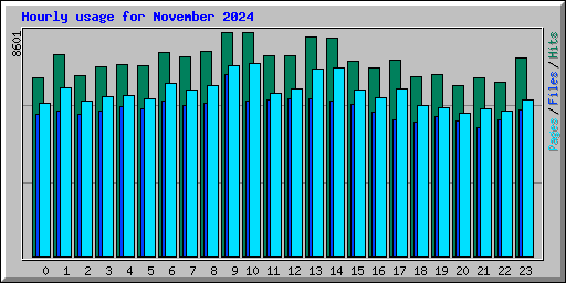 Hourly usage for November 2024