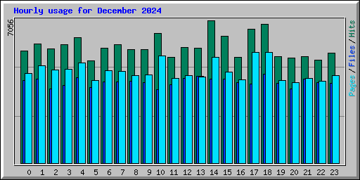 Hourly usage for December 2024