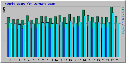 Hourly usage for January 2025