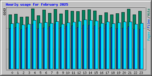 Hourly usage for February 2025