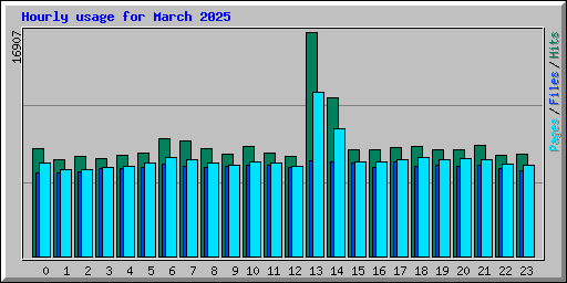 Hourly usage for March 2025