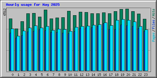 Hourly usage for May 2025