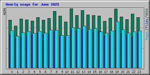 Hourly usage for June 2025