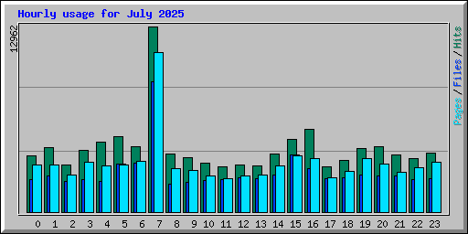 Hourly usage for July 2025